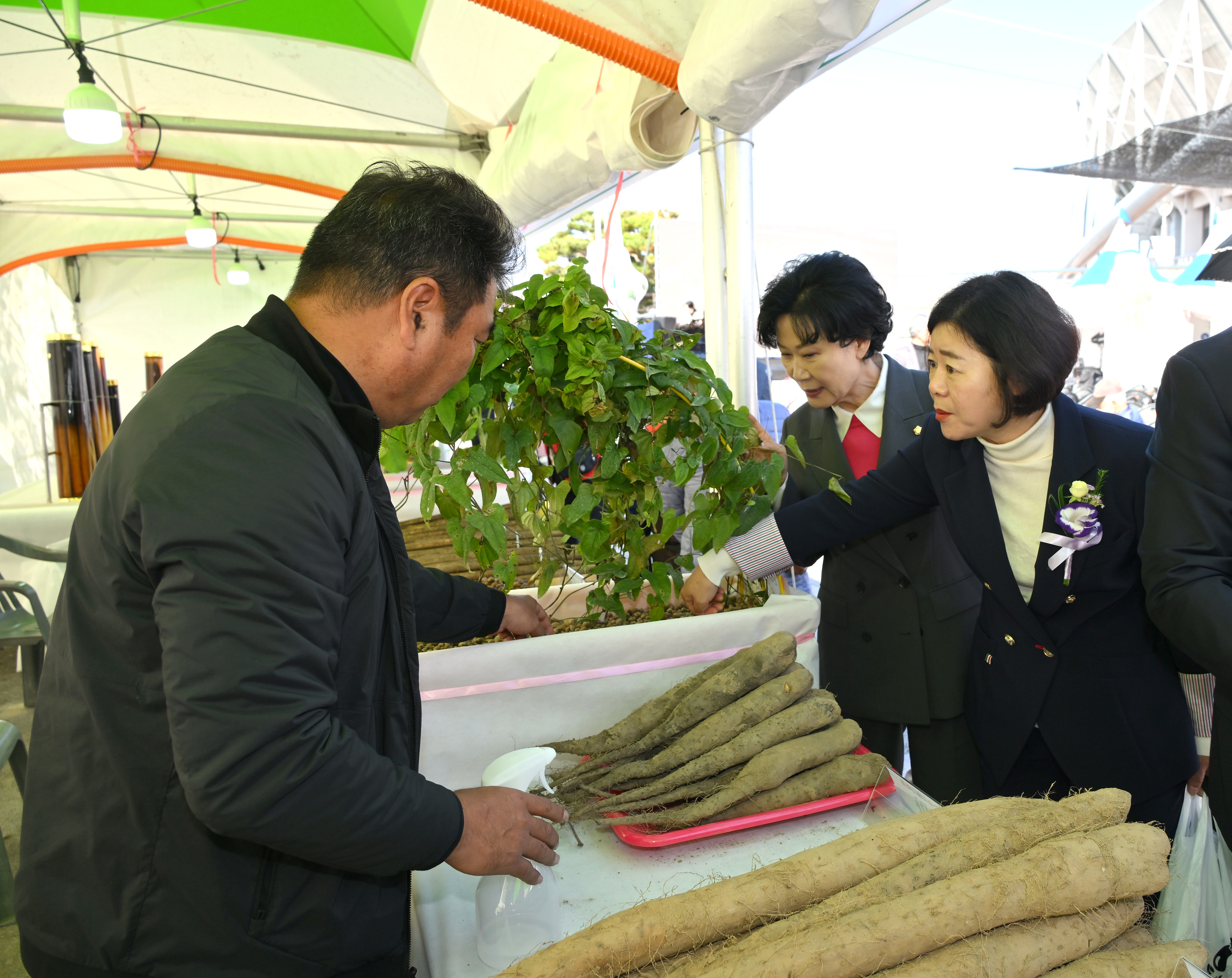 '제4회 진주 우엉 마 시배지 축제' 게시글의 사진(9) 'DSC_9951.JPG'