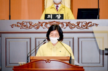 도시환경위원회 소관 조례안 일괄 상정 심사 보고	
