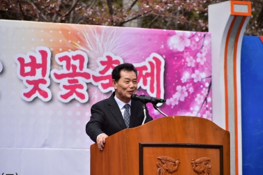 제6회 진성면 월아산 벚꽃 축제