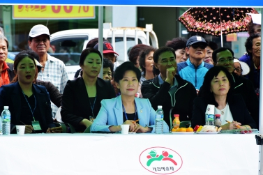 개천예술제 가장행렬 심사